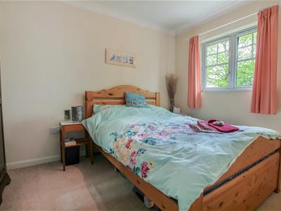Picture 9